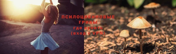дурь Билибино