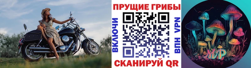 kraken ТОР Гай Псилоцибиновые грибы прущие грибы